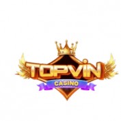 topvinboats profile image