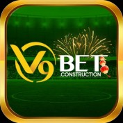 v9betconstruct profile image