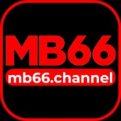 mb66channel profile image