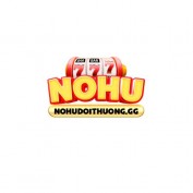 nohudoithuonggg profile image