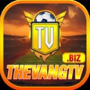 thevangtvbiz profile image