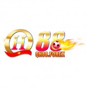 qh88forex profile image