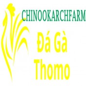 dagachinoo profile image
