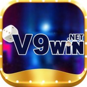 v9winnet profile image