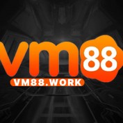 vm88work profile image