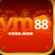 vm88mom profile image