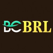 bcbrlnetbr profile image