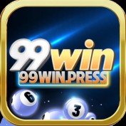 winpressvn profile image