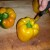 Cut the cap of each pepper and clean inside Cut the cap of each pepper and clean inside