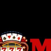 mb66xco profile image