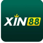 xin88vipcom profile image