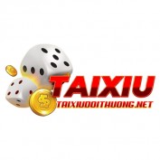 taixiudoithuongnet profile image