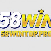 wintoppro profile image