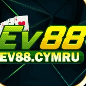 ev88cymru profile image