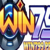 Nha cai WIN79 profile image