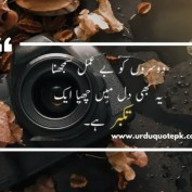 urduquotepk profile image