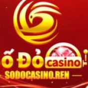 sodocasinoren profile image