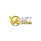v9bethomes profile image