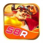 link58ruktop profile image