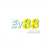 ev88blue profile image