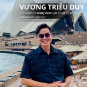 vuongtrieuduy profile image