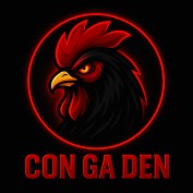 xemdagacohd profile image