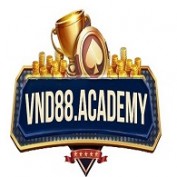 VVBET profile image