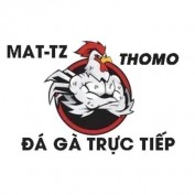 dagatructiepmat profile image