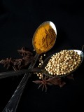 Coriander: A Biblical Herb With Everyday Benefits
