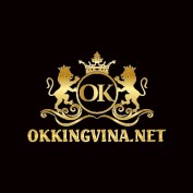 okkingvinanet profile image