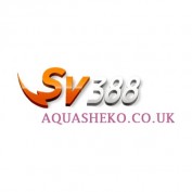sv388aqua profile image
