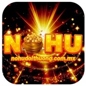 nohudoithuongvn profile image