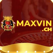 maxvinch profile image