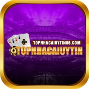 topnhcaiuytin66com profile image