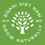 oganivietnam profile image