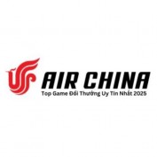 chinaairlinenet profile image