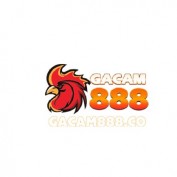 gacam888co profile image
