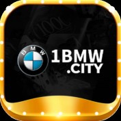 link1bmwcity profile image