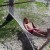 Relaxing in the Hammock! Relaxing in the Hammock!