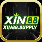 Xin88supply profile image