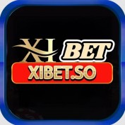 xibetso profile image