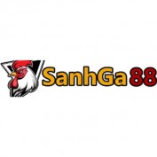 sanhga88space profile image