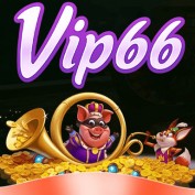 vip66diy profile image