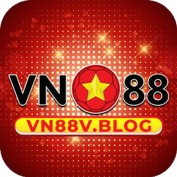 vnv blog profile image