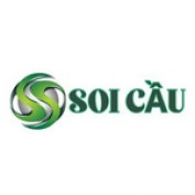 xsmbsoicaucom profile image