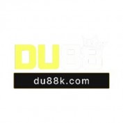 nhacaidu88 profile image