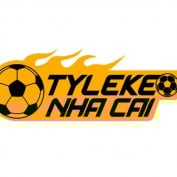 tylenhacaitech profile image