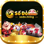 sodoliving profile image