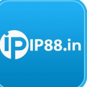 ip88in profile image
