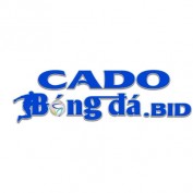cadobongdabid profile image